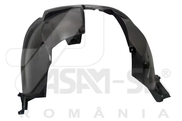 80119 Asam