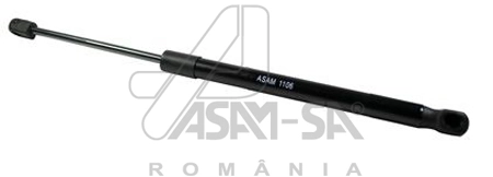 30466 Asam