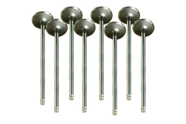 Compre 0448S Gieffe Válvula de admissão