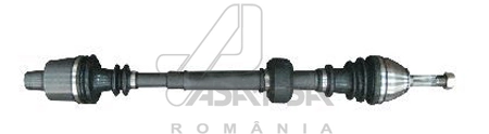 30379 Asam