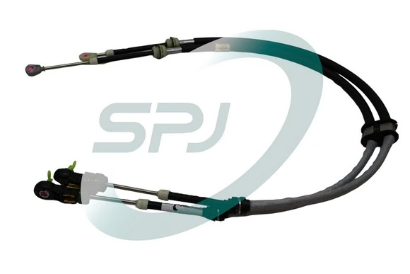 081195 SPJ