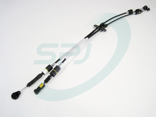  para Ford C-Max  (DM2)