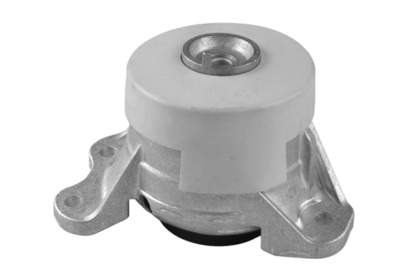 TED11398 Ted-gum