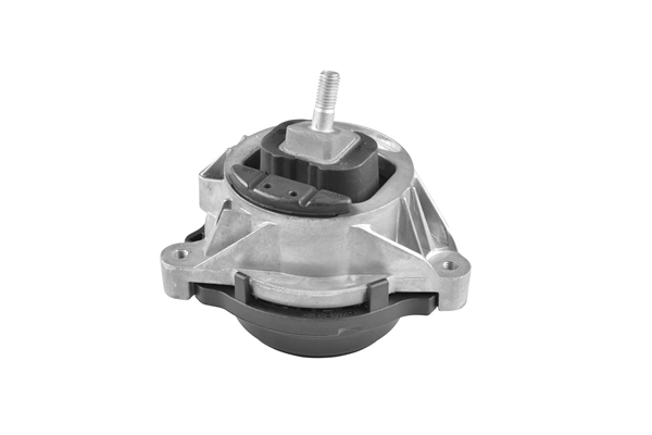 TED98030 Ted-gum Coxim (suporte) direito de motor