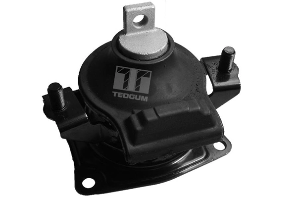 00263076 Ted-gum