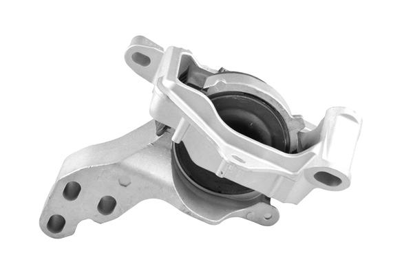 TED96317 Ted-gum Coxim (suporte) direito de motor