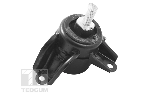 TED95921 Ted-gum