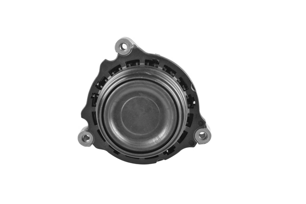 Compre TED98030 Ted-gum Coxim (suporte) direito de motor