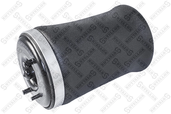 Compre REC10AS0005 Amity AP Coxim pneumático (suspensão de lâminas pneumática) do eixo traseiro