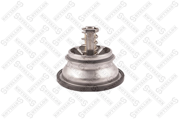 Termostato 7421746213 Renault (RVI)