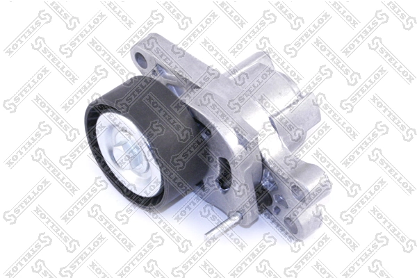 Reguladora de tensão da correia de transmissão Peugeot 206 SW 2E, K