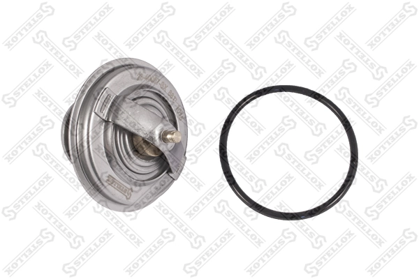Compre Termostato Volvo V70 1
