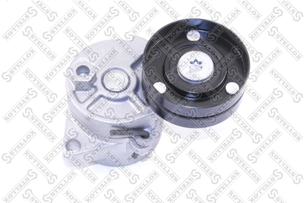  Reguladora de tensão da correia de transmissão BMW 3 sedan (E46) (1998 - 2005) 