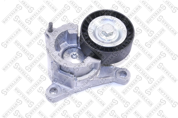  Reguladora de tensão da correia de transmissão Peugeot 206 conversível (2D) (2000 - 2007) 
