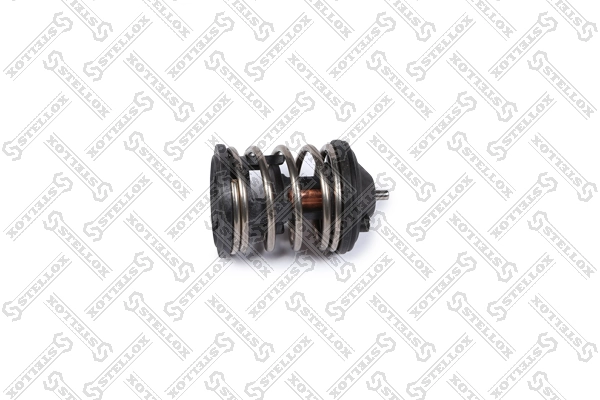 Compre Termostato BMW 5 