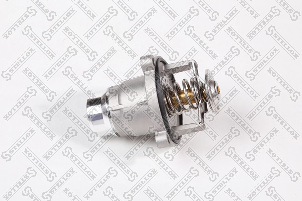 Termostato para BMW 3 G21, G81