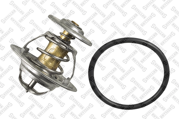 Compre Termostato Seat Ibiza 1