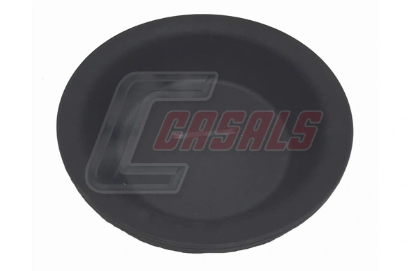 42411 Casals