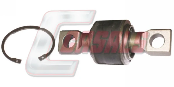 R7447 Casals