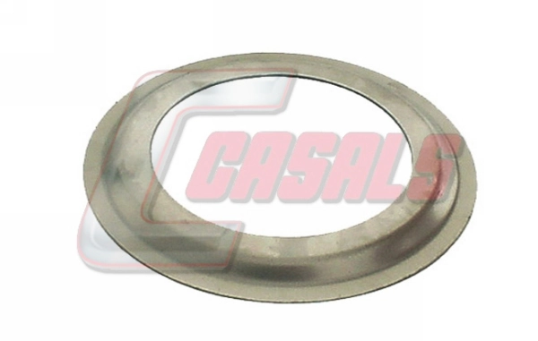 20446 Casals