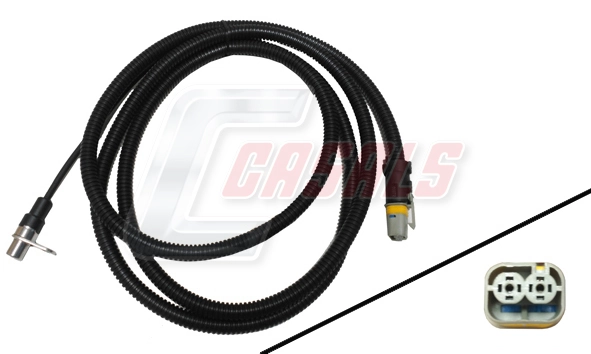 50375 Casals