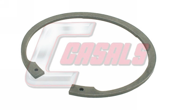20441 Casals