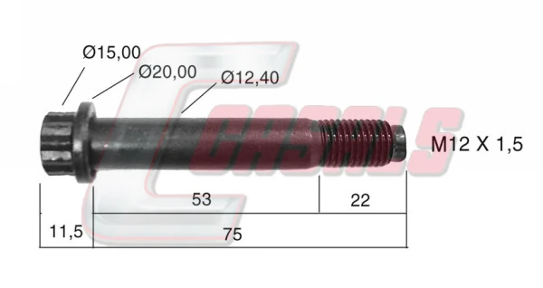 Parafuso do freio de suporte 1011907 Schmitz