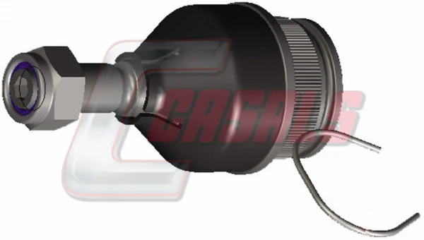 R1039 Casals