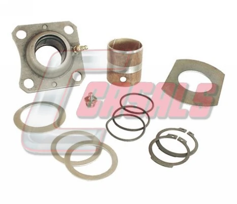 Compre AXL132 LDV Kit de reparação do freio da árvore (de catraca)