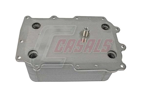 97238 Casals