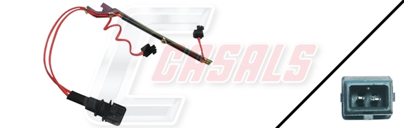 50246 Casals