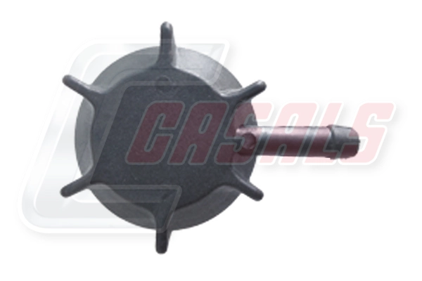 0108 Casals