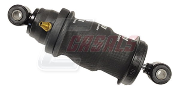 99539 Casals