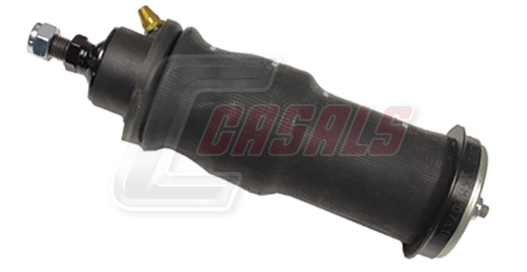 99564 Casals
