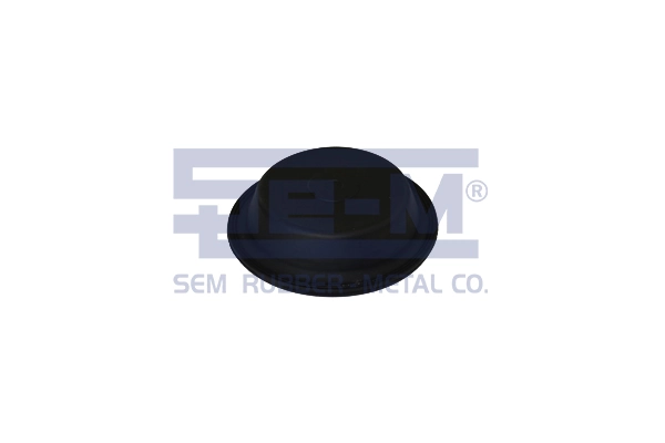 15879 SEM