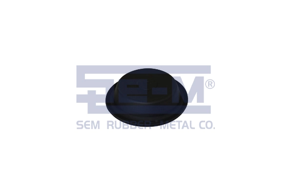 15880 SEM