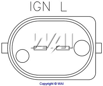 IB200 WAI Relê-regulador do gerador (relê de carregamento)