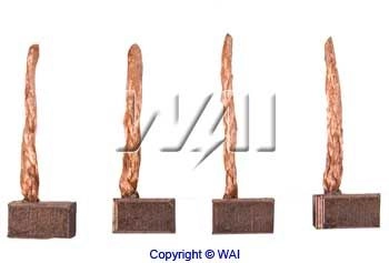 BSX175176 WAI