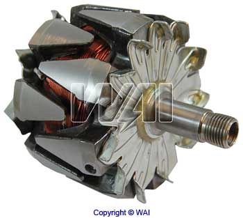 330113 Cargo Induzido (rotor) do gerador
