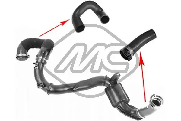 79137 Metalcaucho