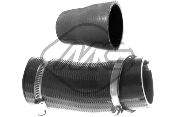 79191 Metalcaucho