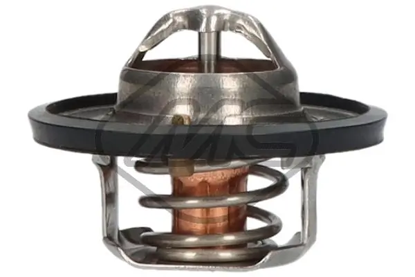 31287 Metalcaucho