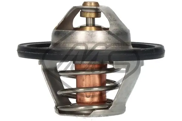 Termostato Renault 21  S48 ao melhor preço