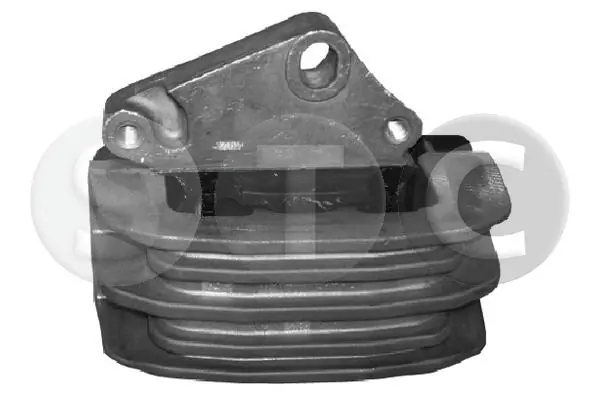 T405319 STC