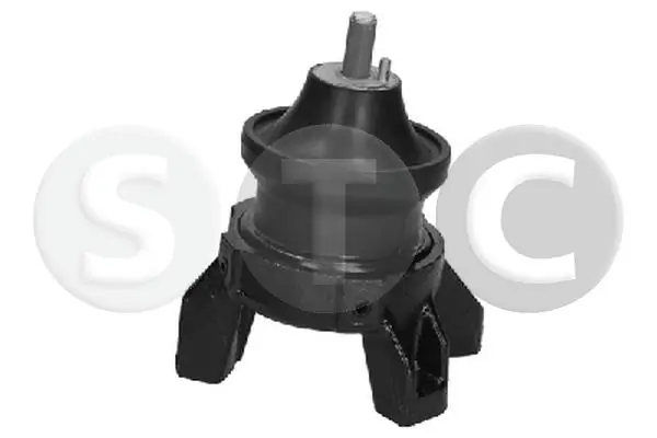  Coxim (suporte) traseiro de motor Hyundai Santa Fe II SUV (CM) (2006 - 2012) II