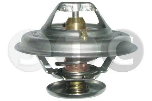 Termostato para BMW 5 E39
