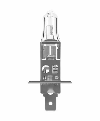 N481 Neolux
