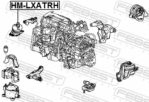 HMLXATRH Febest Coxim (suporte) direito de motor