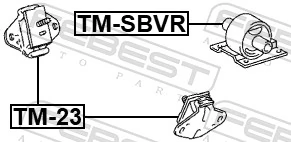 TMSBVR Febest