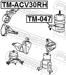 TMACV30RH Febest Coxim (suporte) direito superior de motor